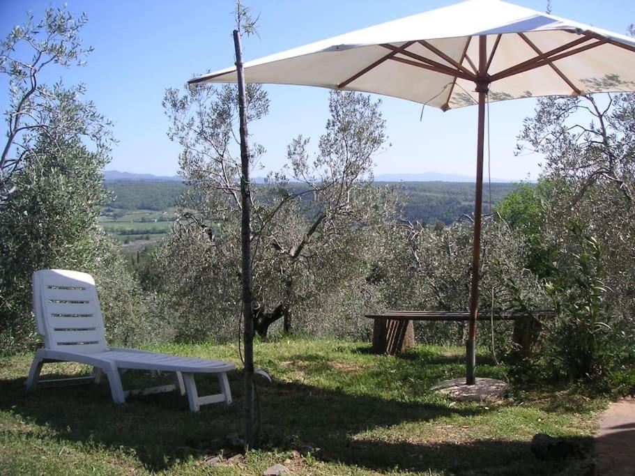 Casa Belvedere -Tranquillita Tra Bosco E Ulivi- Riparbella Extérieur photo