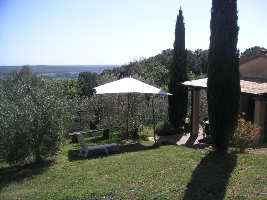 Casa Belvedere -Tranquillita Tra Bosco E Ulivi- Riparbella Extérieur photo
