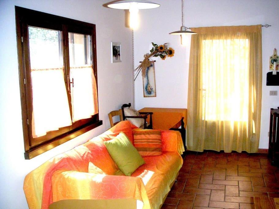 Casa Belvedere -Tranquillita Tra Bosco E Ulivi- Riparbella Extérieur photo