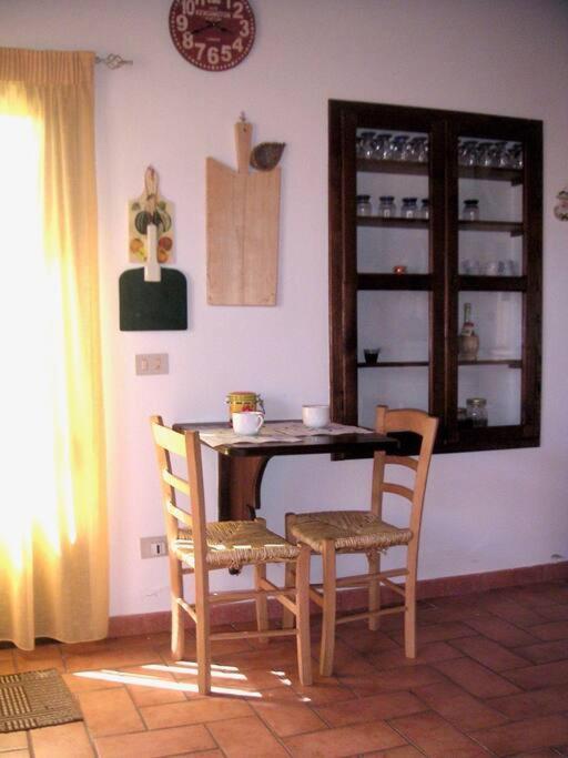 Casa Belvedere -Tranquillita Tra Bosco E Ulivi- Riparbella Extérieur photo