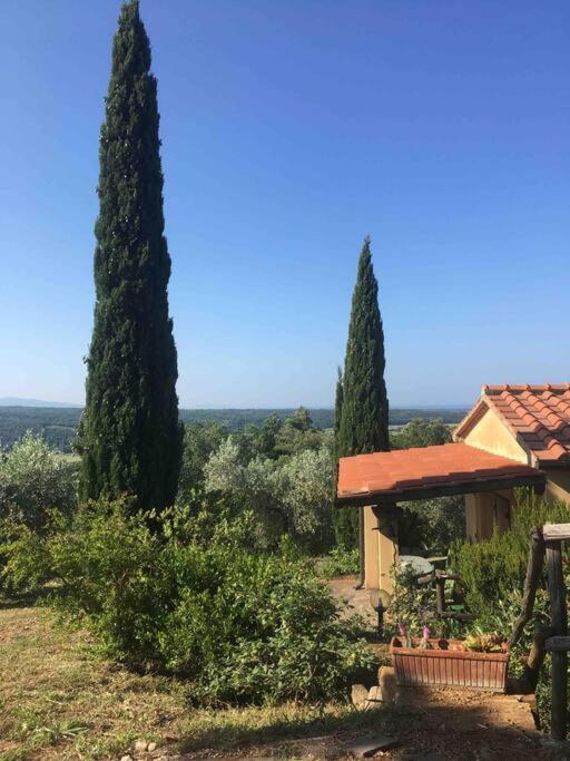 Casa Belvedere -Tranquillita Tra Bosco E Ulivi- Riparbella Extérieur photo