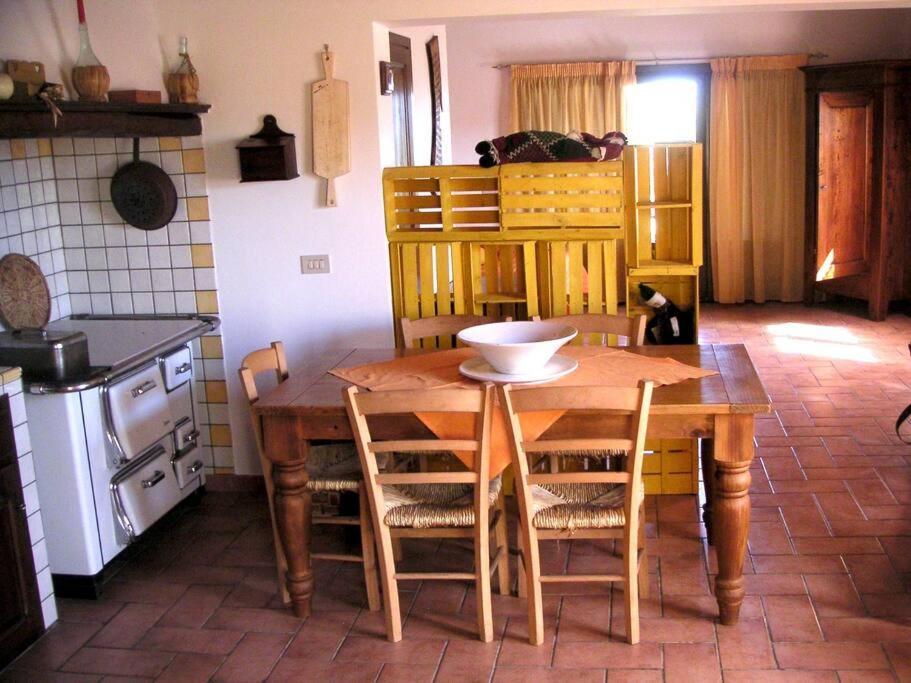 Casa Belvedere -Tranquillita Tra Bosco E Ulivi- Riparbella Extérieur photo