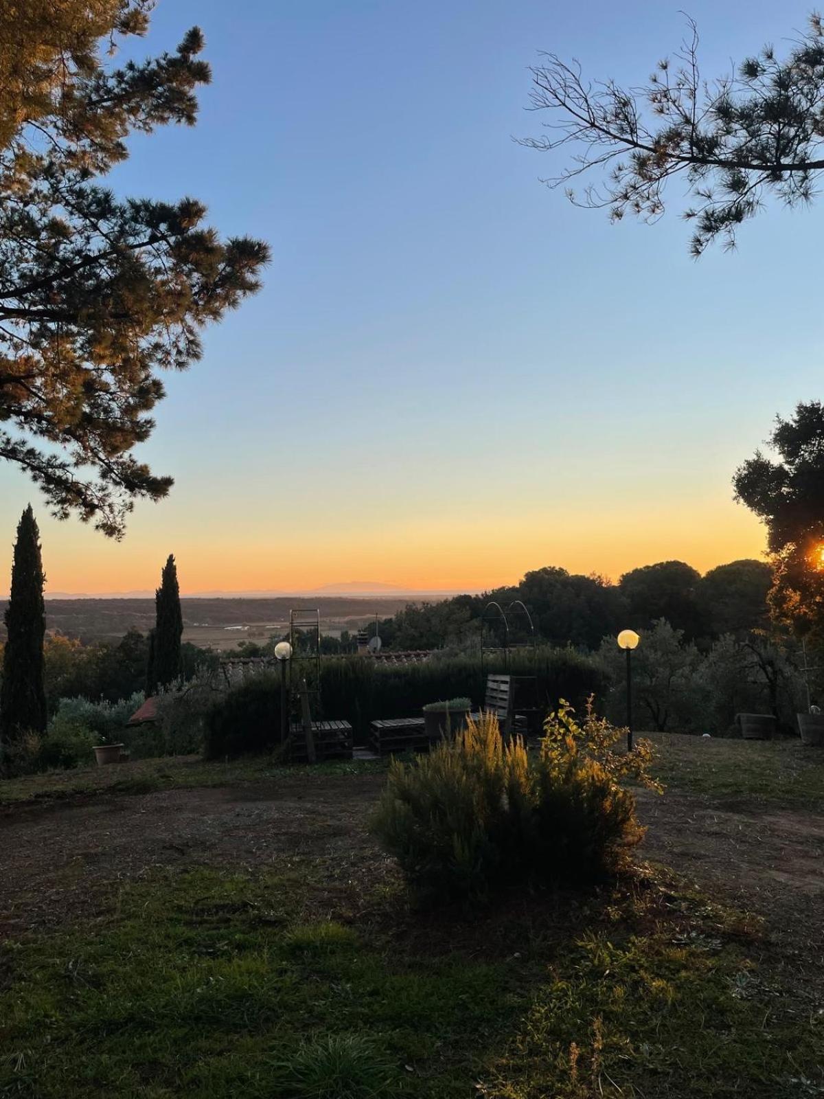 Casa Belvedere -Tranquillita Tra Bosco E Ulivi- Riparbella Extérieur photo
