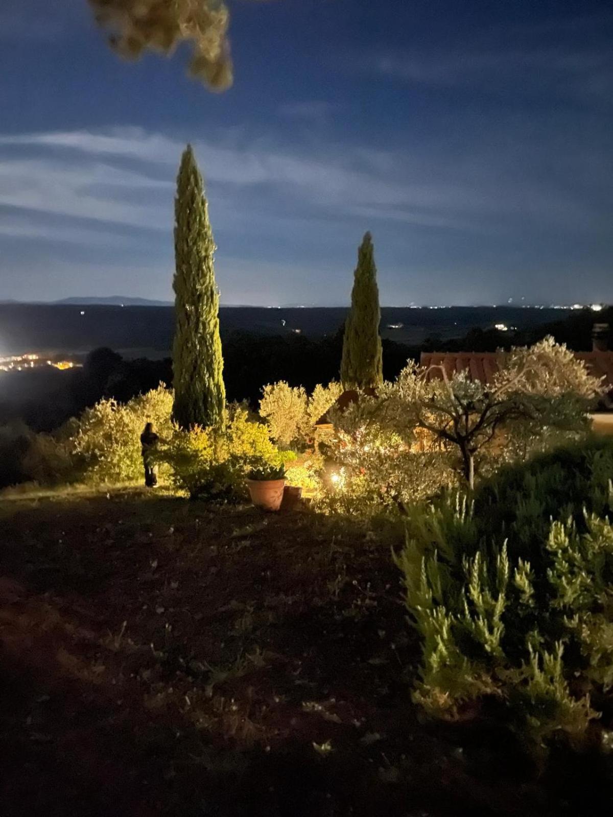 Casa Belvedere -Tranquillita Tra Bosco E Ulivi- Riparbella Extérieur photo